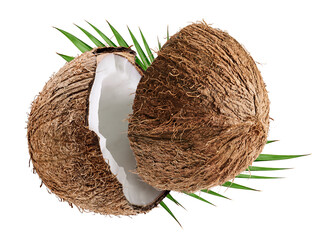 Coconut breake with leaves isolated on white background