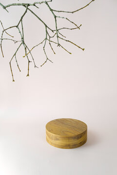 Background with wooden geometric shape podium and branches. Wooden round cylinder shape form for eco product. Empty showcase in minimal style. Abstract pastel mock up for cosmetic.