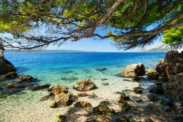 Seascape at the day time. Blue sea. Sunny day. Waves on beach. Place for relax under the trees....