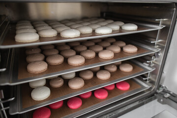 Colorful macarons shells on baking trays in the open oven after baking. The process of making...