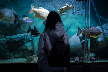 Girl looking at aquarium with fishes