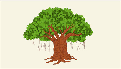 Obraz premium The banyan tree has bloomed.