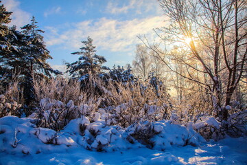 Fototapeta na wymiar winter landscape in the morning