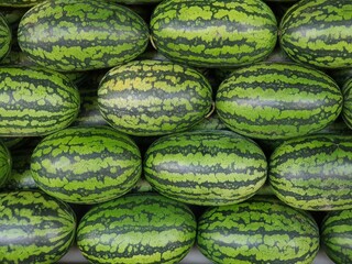 The watermelons that were placed in order.
