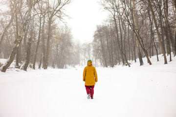 Man walking through a winter wonderland forest during a snow storm