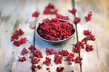 Barberry in a bowl. Seasoning for dishes is fresh barberry.