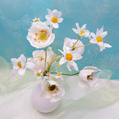 chamomile flowers, pastry flowers, sweet bouquet.