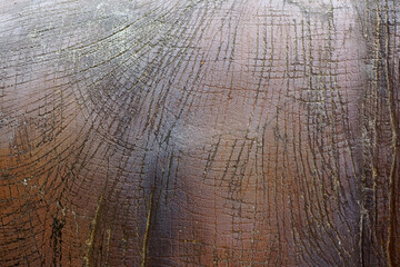 Elephant skin pattern on concrete