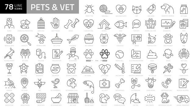 Pet, vet, pet shop, types of pets - minimal thin line web icon set. Outline icons collection. Simple vector illustration