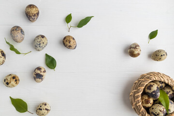 Quail eggs and fresh green leaves on a white background with space for text. Easter, spring.