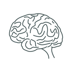 human brain isolated on black, Brain icon
