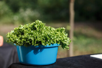 Fototapeta na wymiar Fresh salad in blue bowl on the table close up