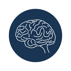 human brain vector icon, Human brain icon in line style.