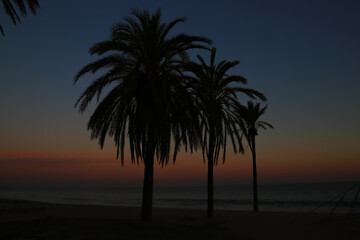 Naklejka na ściany i meble Sunset in the coast line