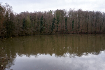Beautiful view of a calm lake with reflection of trees in the water