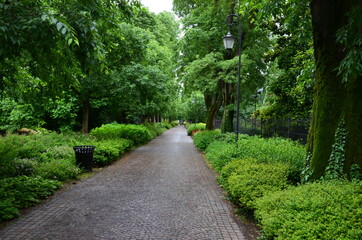 Lovely path in the park