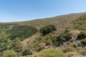 mountainous landscape in Sierra Nevada