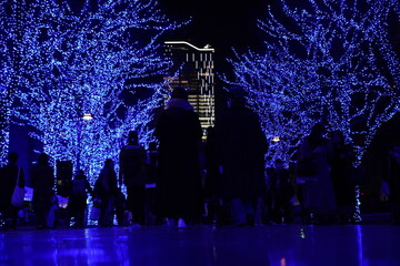 Christmas lights, Blue Cave Shibuya