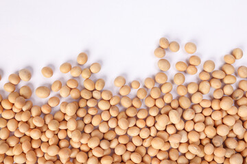 Soya bean horizontal line frame border copy text space on white background