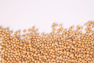 Soya bean horizontal line frame border copy text space on white background