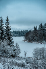 Frozen lake surrounded by snowy forest