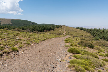 dirt road in Sierra Nevada