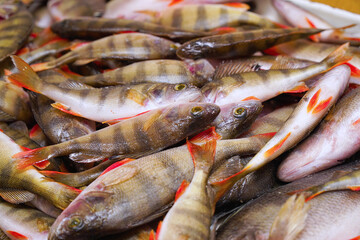 River perches carcasses prepared for cooking