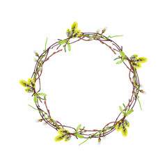 Blooming spring wreath of willow twigs with fluffy catkins, green young leaves and grass. Round delicate Easter or wedding rustic frame. Watercolor hand painted isolated arrangement. 