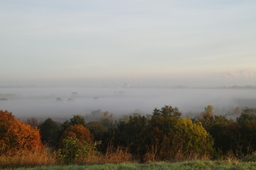 Fototapeta premium Nebel Wald Morgen Herbst