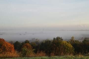 Nebel Wald Morgen Herbst