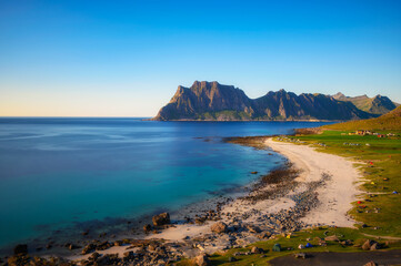 Fototapeta premium Many tents and camping cars on Uttakleiv beach in Lofoten islands, Norway