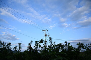 電線と空
