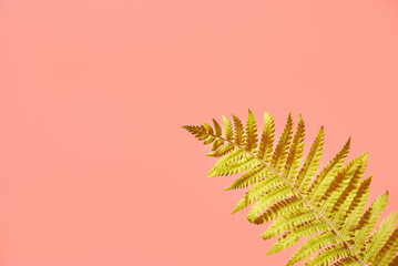 green fern leaf on pink background. copy space