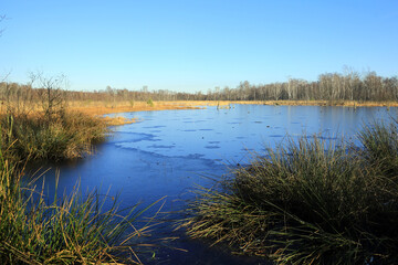 Naturschutzgebiet Wittmoor 