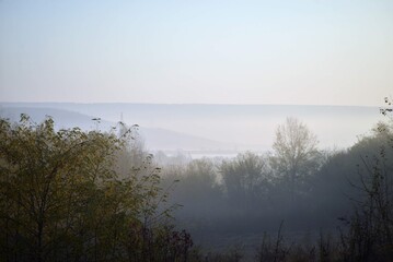 sunrise with fog in the forest colored in green and yellow. early autumn landscape in the wild