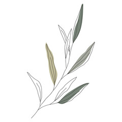 Palm leaf line art. Contour drawing. Minimalism art. Modern decor. Wall art.