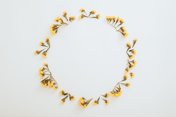 Round frame of yellow flowers on white background. Flat lay, top view