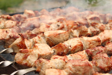 grilled meat on the grill
