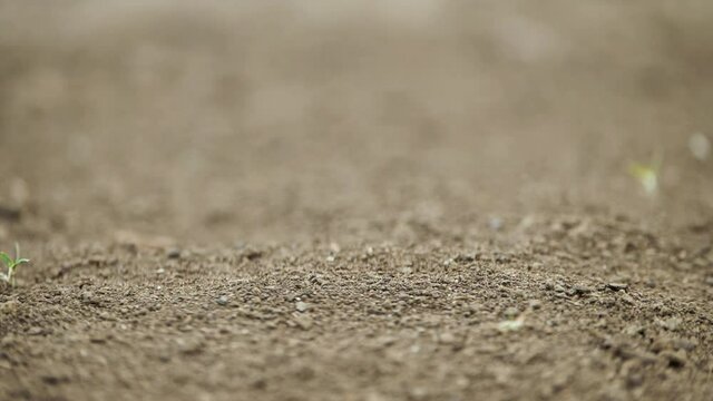 Radion controlled car racing by from left to right in slow motion