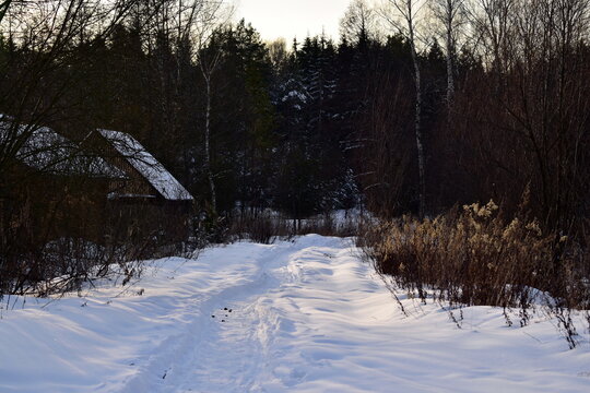 walking trail in the forest near the village. contrast photo 