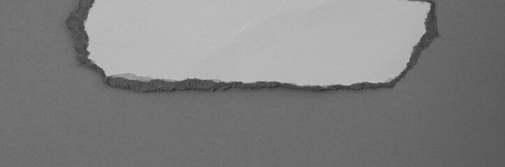 pieces of torn paper texture background with copy space for text