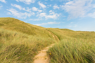 A hiking path up the hilltop in Bjulberg, Denmark. 