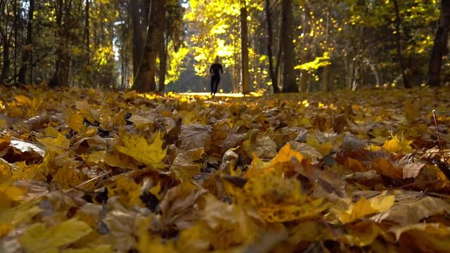 Running woman in autumn forest. Woman jogging on fall leaves in slow motion.