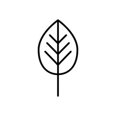 Leaf Icon Design Vector Template Illustration