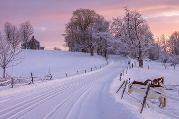Vermont farm winter scene with horses