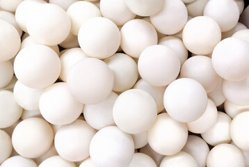 Table Tennis Balls