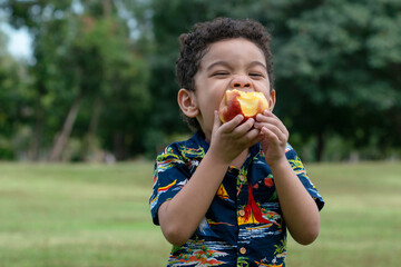 Portrait of half African half Asian 4 year old child happy to eat an apples at outdoor park,...