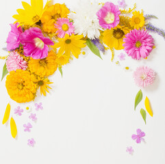 yellow and pink flowers on white background