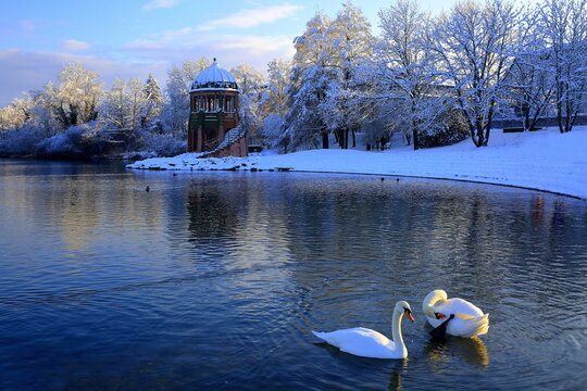 Schwanensee