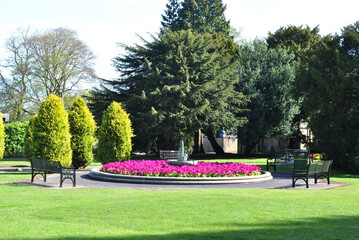 Spring Flowers and Trees in Old Stone Fountain in Public Park 